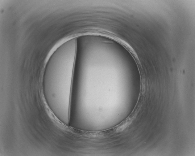 X0000084521530200702231121