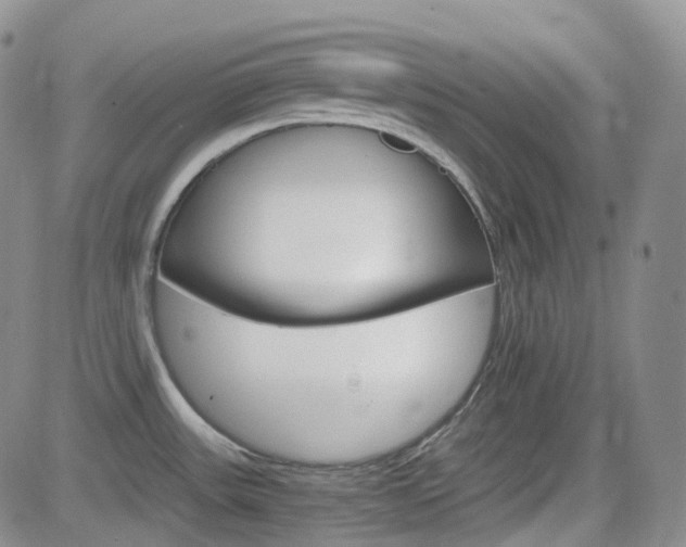 X0000084521531200702231121