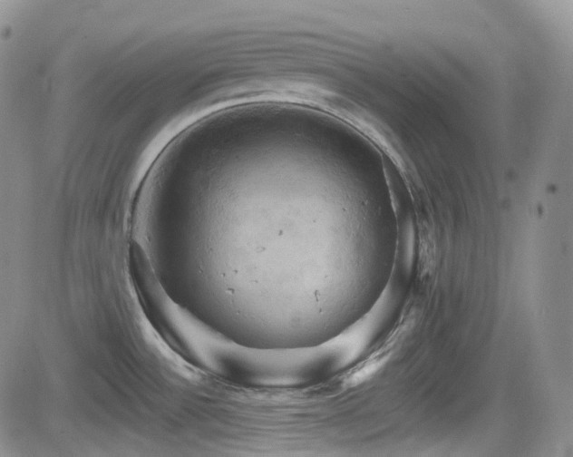 X0000084521532200702231121