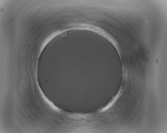 X0000084521533200702231121