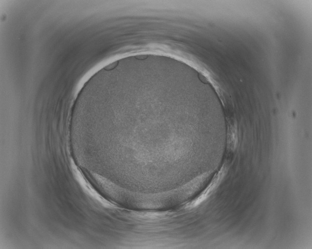 X0000084521534200702231122