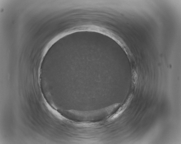 X0000084521535200702231122