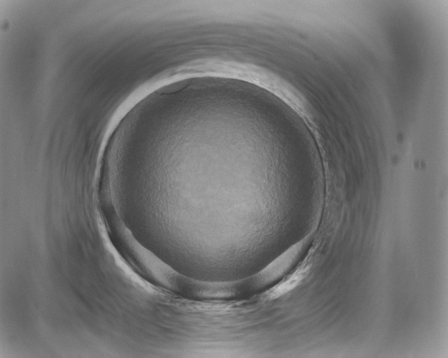 X0000084521536200702231122