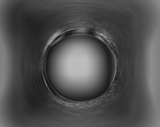 X0000084520003200703021408