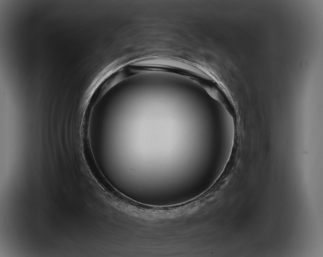 X0000084520007200703021408