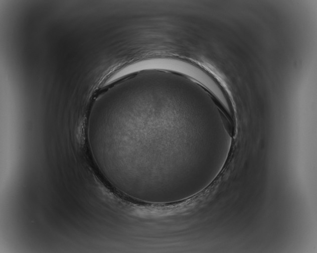 X0000084520009200703021408