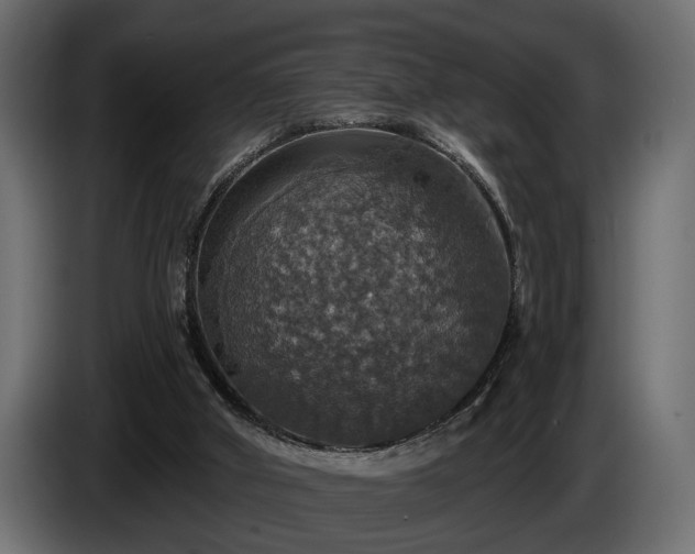 X0000084520010200703021408