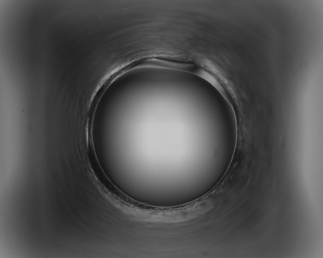 X0000084520011200703021408