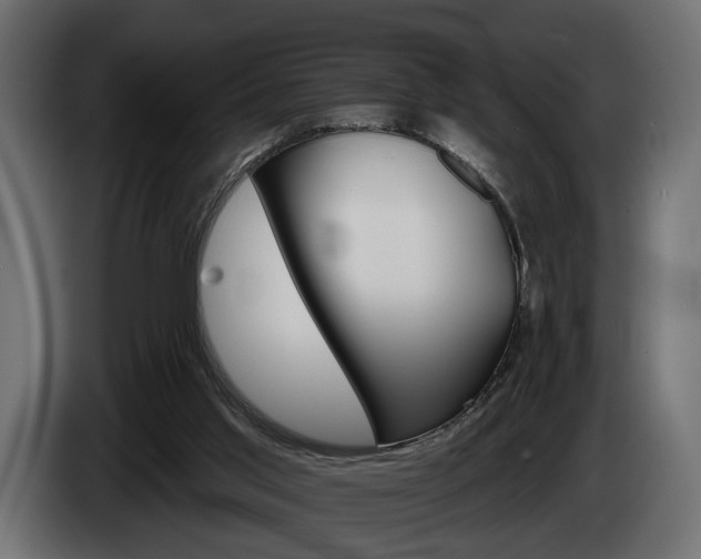 X0000084520013200703021408