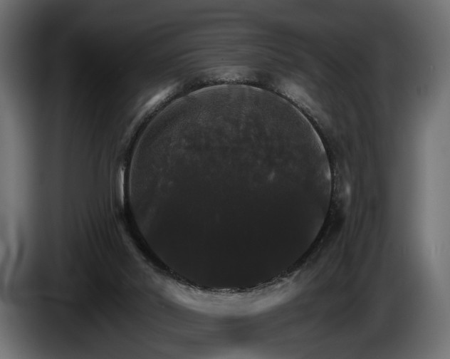 X0000084520014200703021408