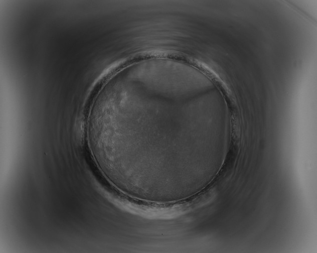 X0000084520016200703021408