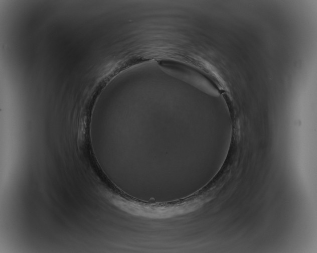 X0000084520018200703021408