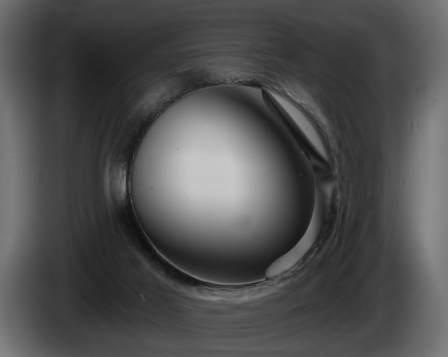 X0000084520021200703021408