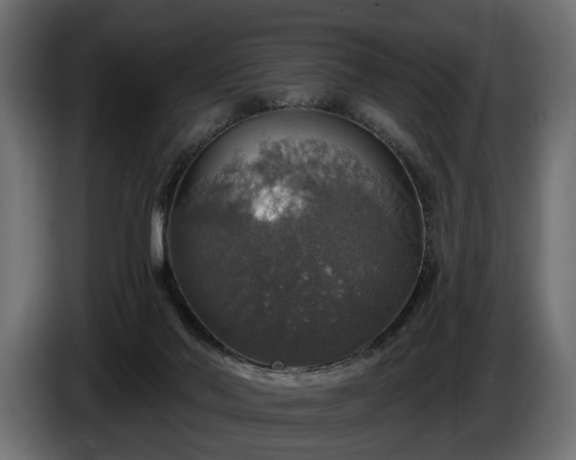 X0000084520022200703021408