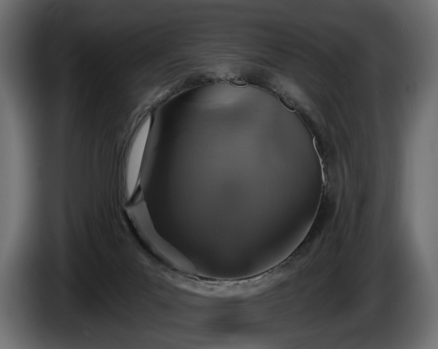 X0000084520023200703021408