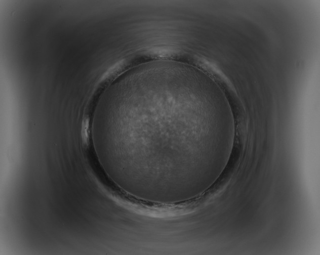 X0000084520024200703021407