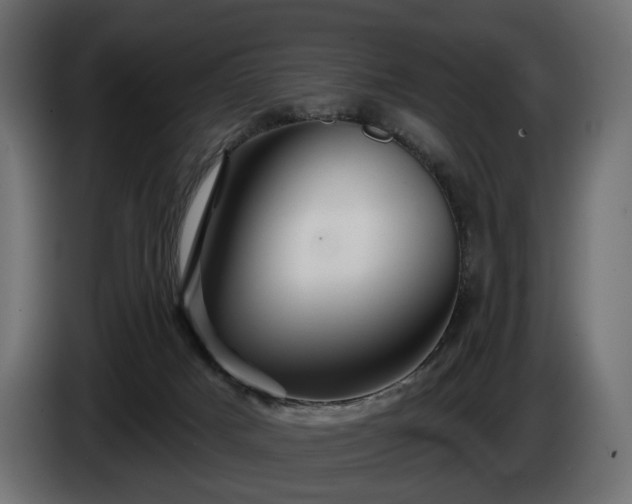 X0000084520025200703021407