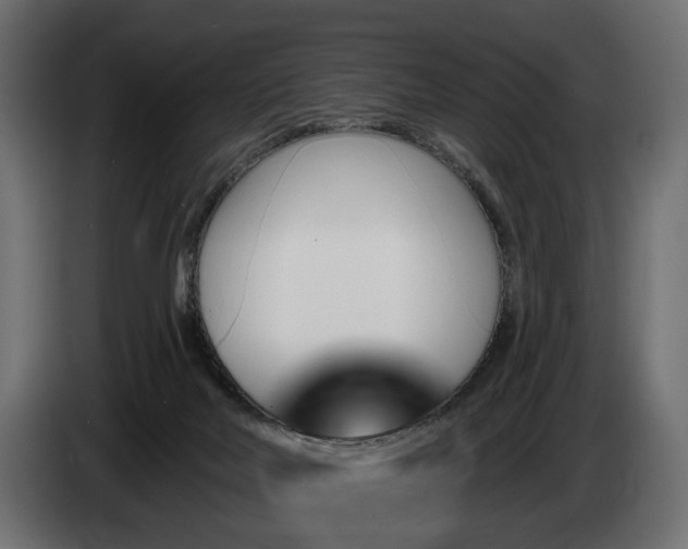 X0000084520026200703021407