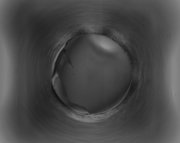 X0000084520027200703021407