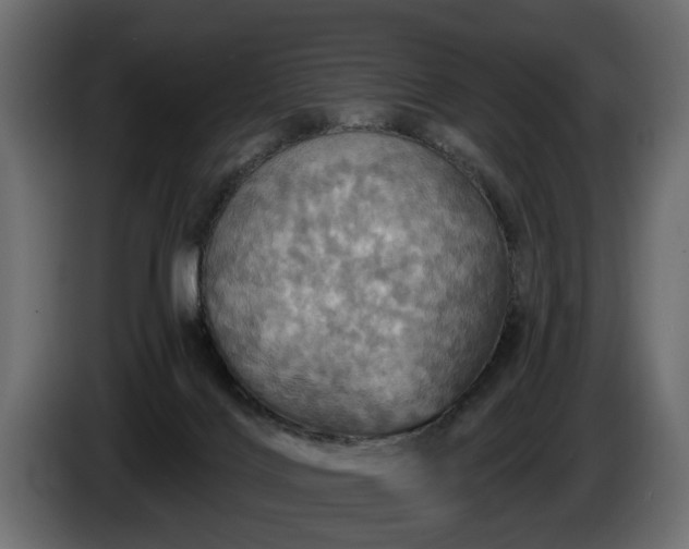 X0000084520028200703021407