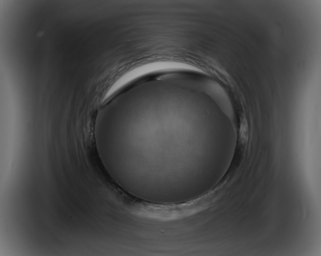 X0000084520029200703021407