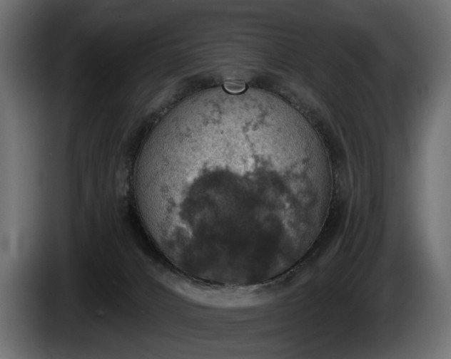 X0000084520032200703021407