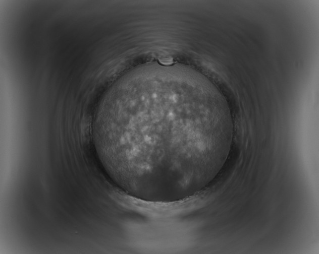 X0000084520034200703021407