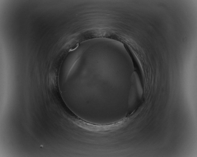 X0000084520035200703021407