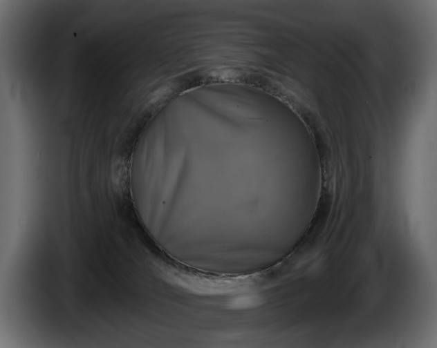 X0000084520036200703021407