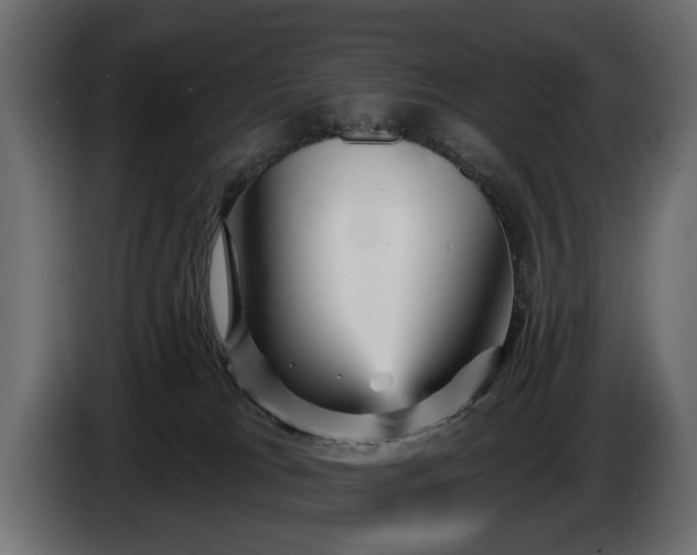 X0000084520037200703021407