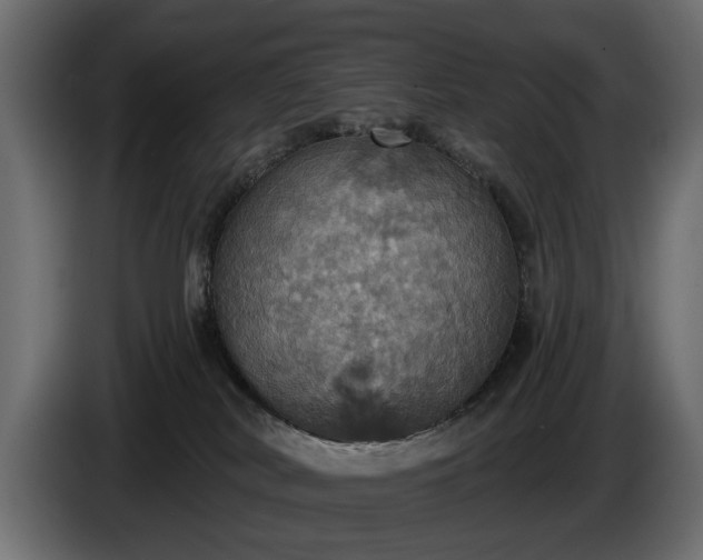 X0000084520038200703021407