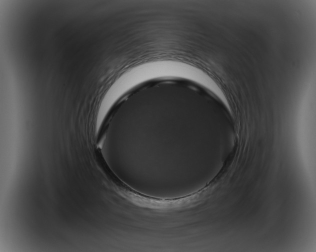 X0000084520039200703021407