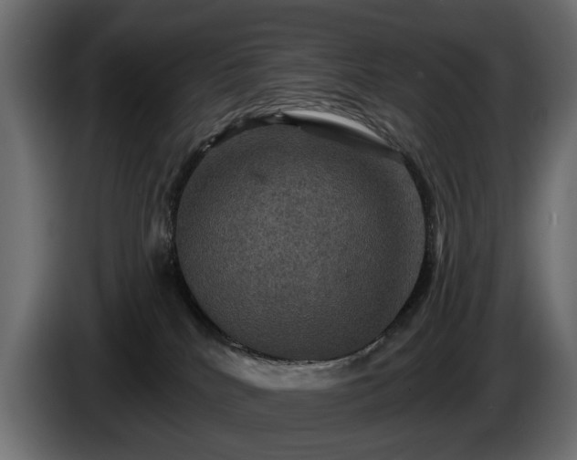 X0000084520040200703021407