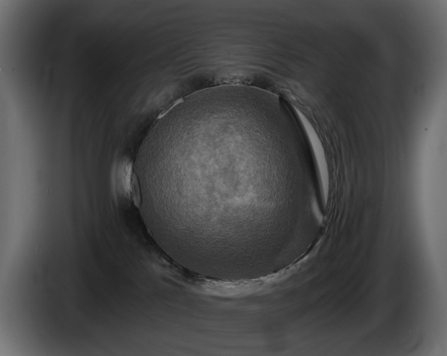 X0000084520041200703021407