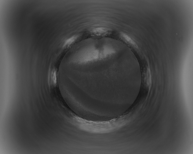 X0000084520042200703021407