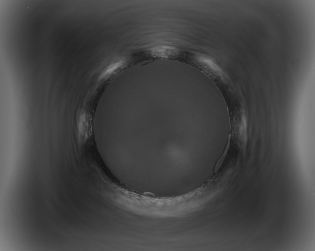 X0000084520043200703021407