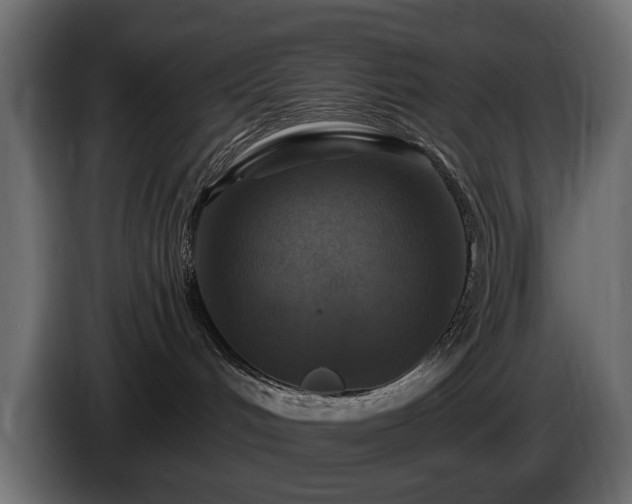 X0000084520048200703021407