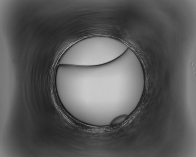 X0000084520049200703021406