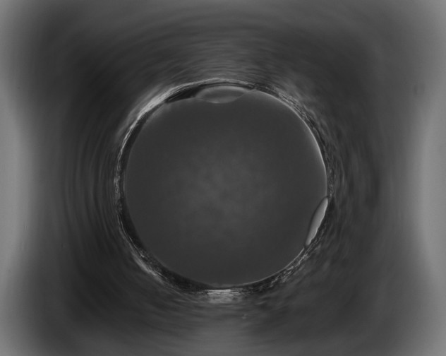 X0000084520050200703021406