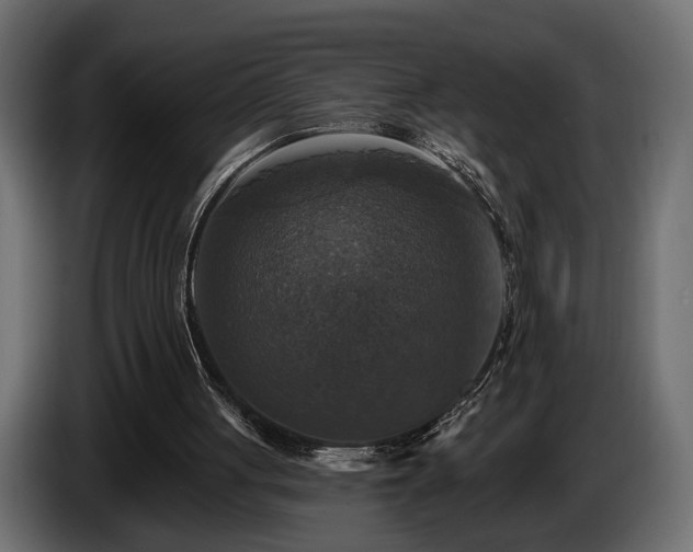 X0000084520051200703021406