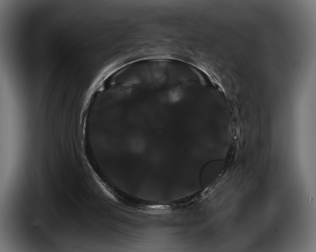 X0000084520053200703021406