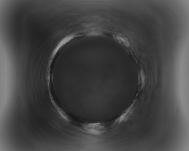 X0000084520054200703021406