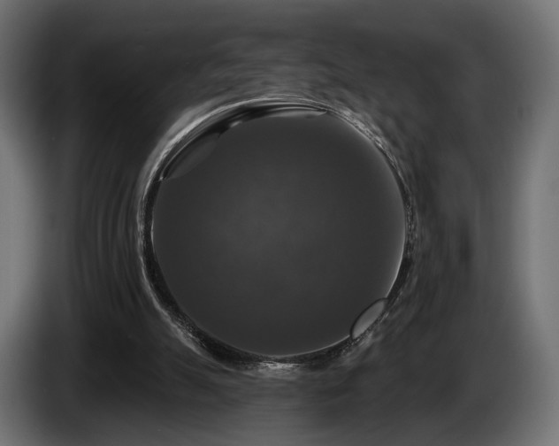 X0000084520055200703021406