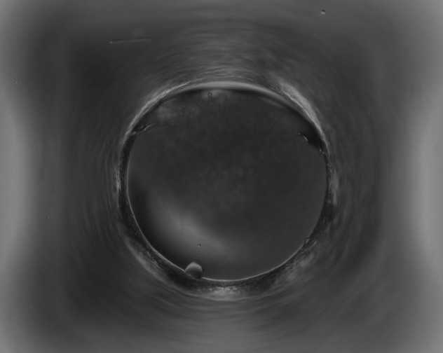 X0000084520059200703021406