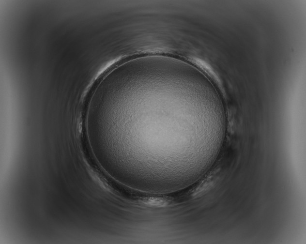 X0000084520060200703021407