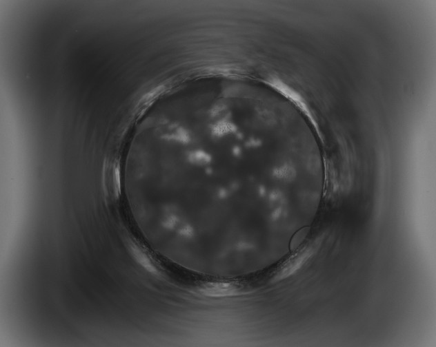 X0000084520061200703021407