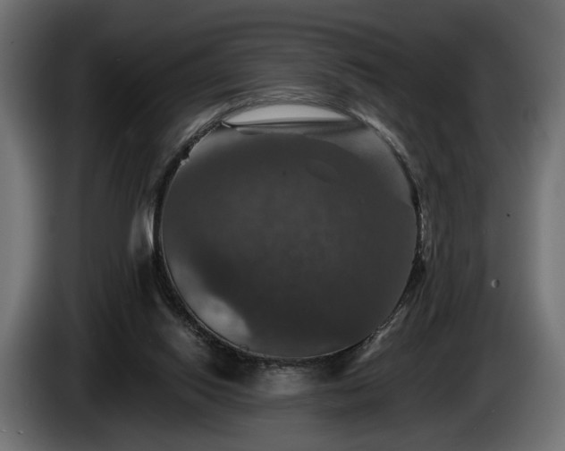 X0000084520062200703021407