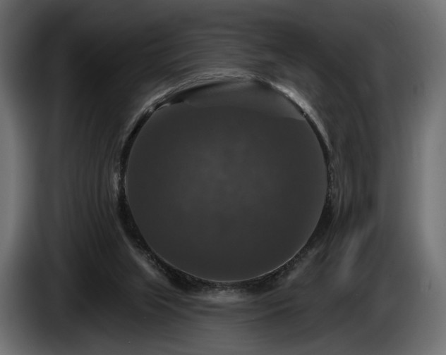 X0000084520063200703021407