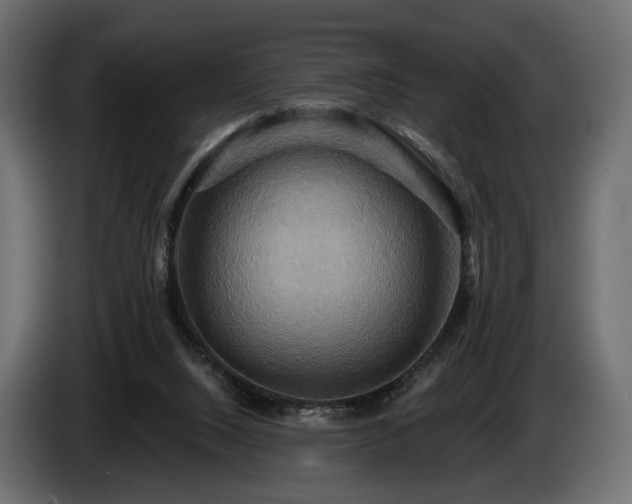 X0000084520064200703021407