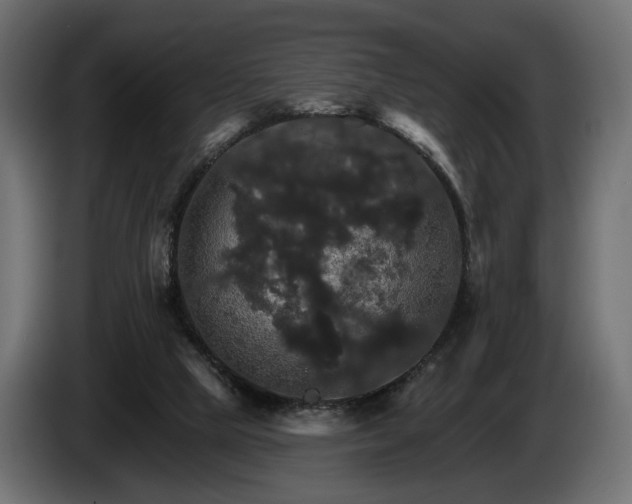 X0000084520065200703021407